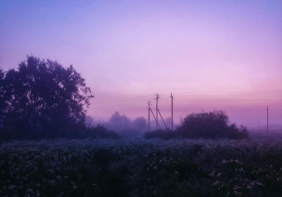 意甲：博洛尼亚 VS AC米兰